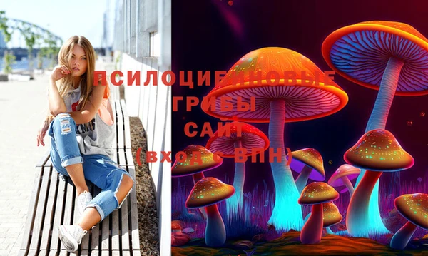 метадон Алексин