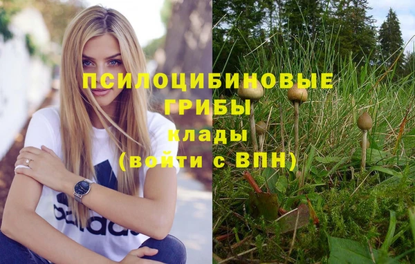 метадон Алексин