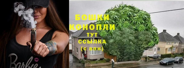 ГАЛЛЮЦИНОГЕННЫЕ ГРИБЫ Алзамай