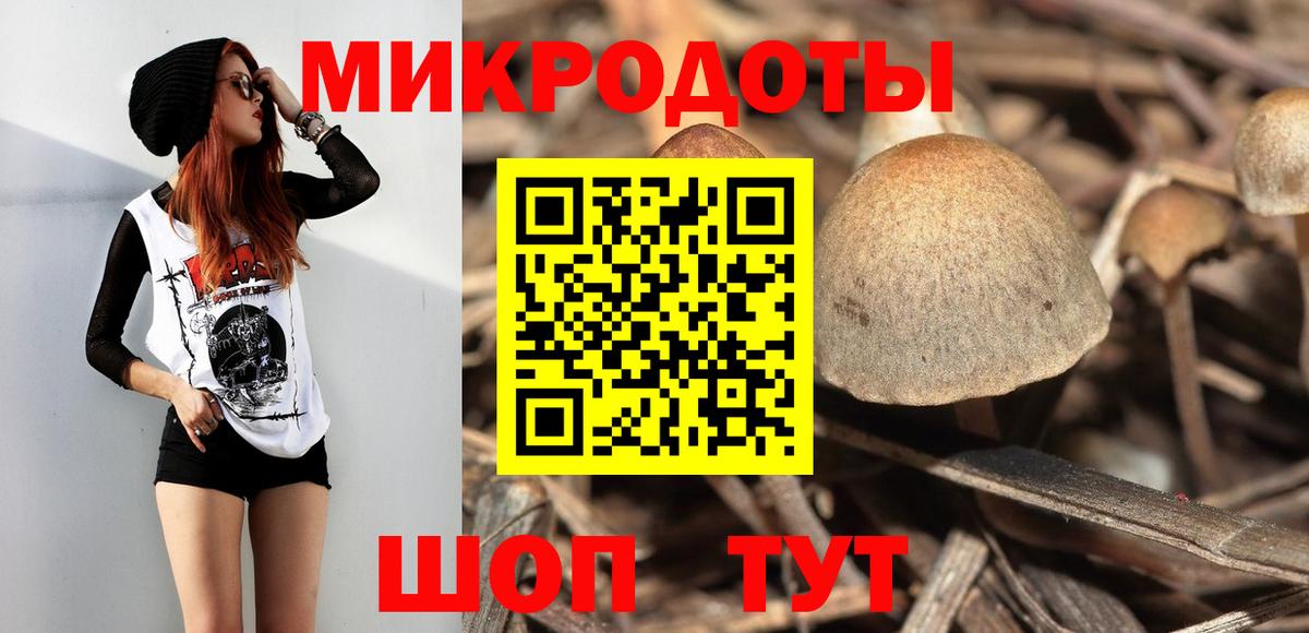 Псилоцибиновые грибы Psilocybe Лабинск